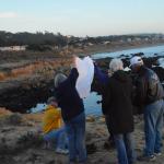 Cambria_0283 (November 02, 2013)